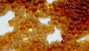 Pre-treatment and regenerate method of food grade resins.